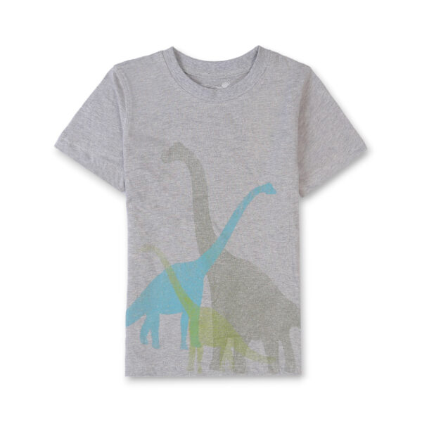 Dinosaur Tee Shirt