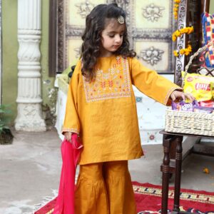 3 Pc Embroidered Suit With Garara