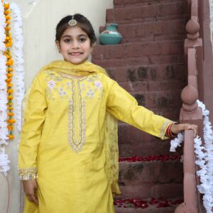 3 Pc Embroidered Suit