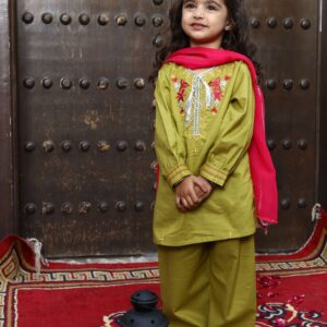 Embroidered 3 Pc Suit