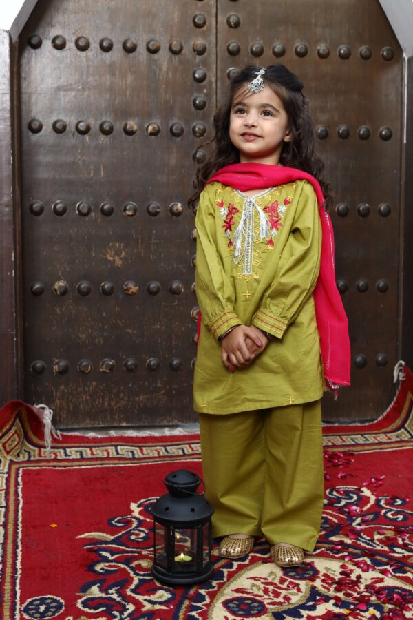 Embroidered 3 Pc Suit