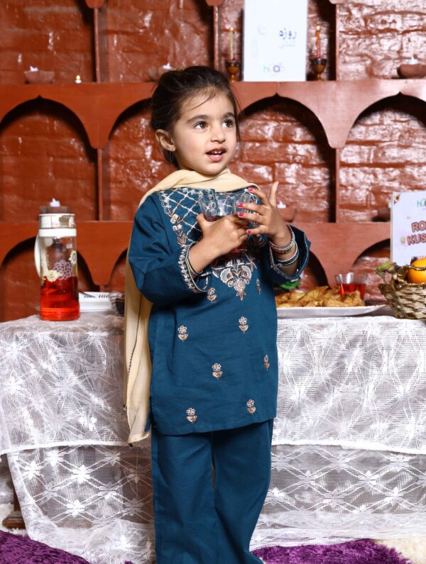 Embroidered 3 Pc Suit - Image 3